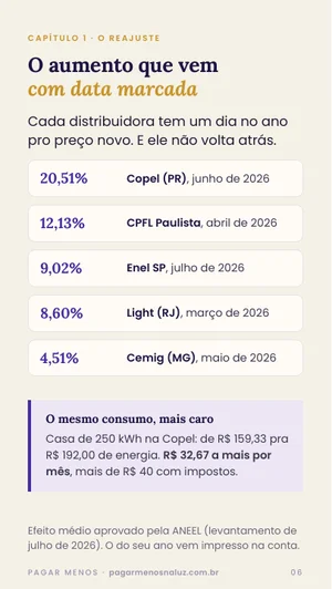 Página do guia sobre o reajuste de cada distribuidora